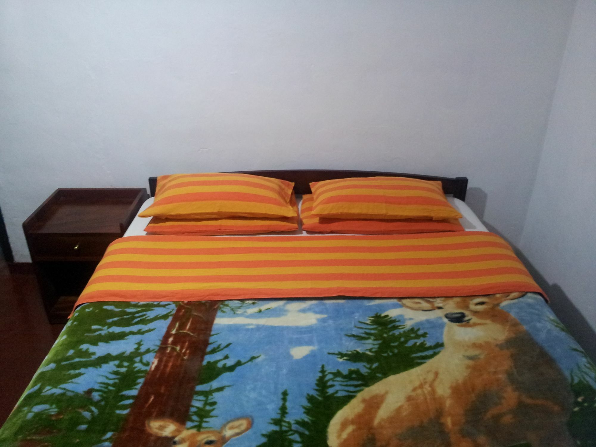 Andrews Hostel Нувара Елия Екстериор снимка